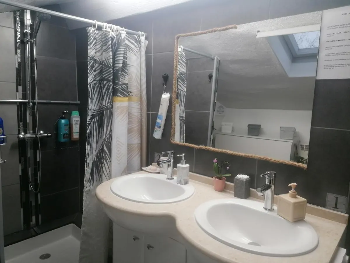 Homestay Chambre 23M2 Avec Jardin Wi-Fi Gratuit Saint-Girons Apartment France