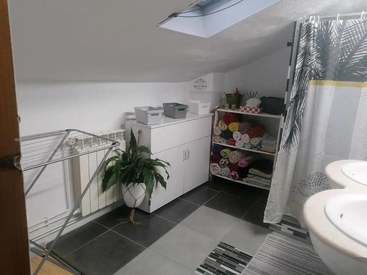 Homestay Chambre 23M2 Avec Jardin Wi-Fi Gratuit Saint-Girons Apartment
