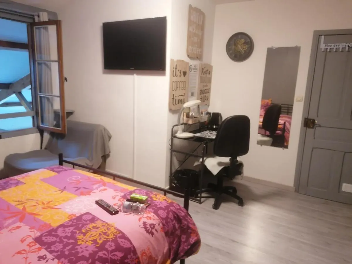 Homestay Chambre 23M2 Avec Jardin Wi-Fi Gratuit Saint-Girons Apartment France