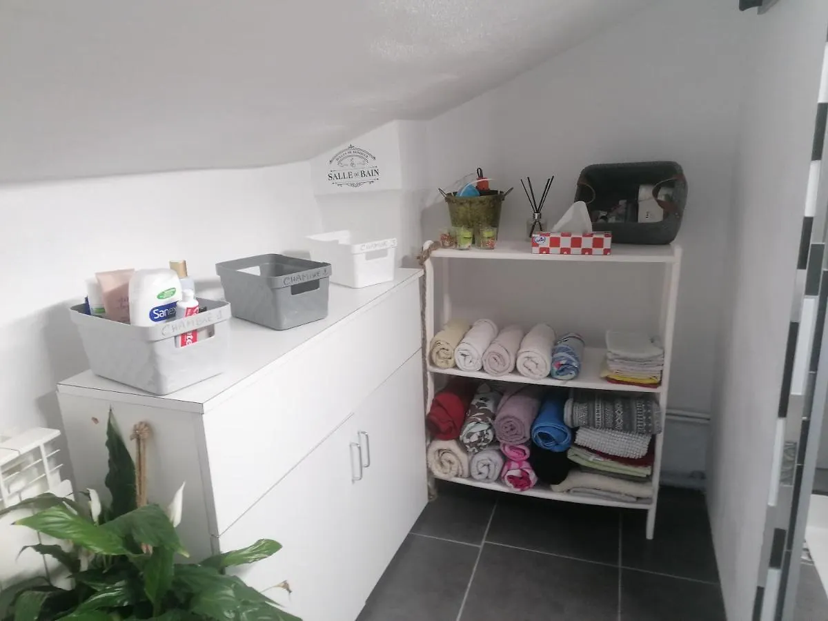 Chambre 23M2 Avec Jardin Wi-Fi Gratuit Saint-Girons Apartment Homestay Saint-Girons (Ariege)