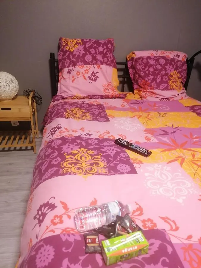 Homestay Chambre 23M2 Avec Jardin Wi-Fi Gratuit Saint-Girons Apartment