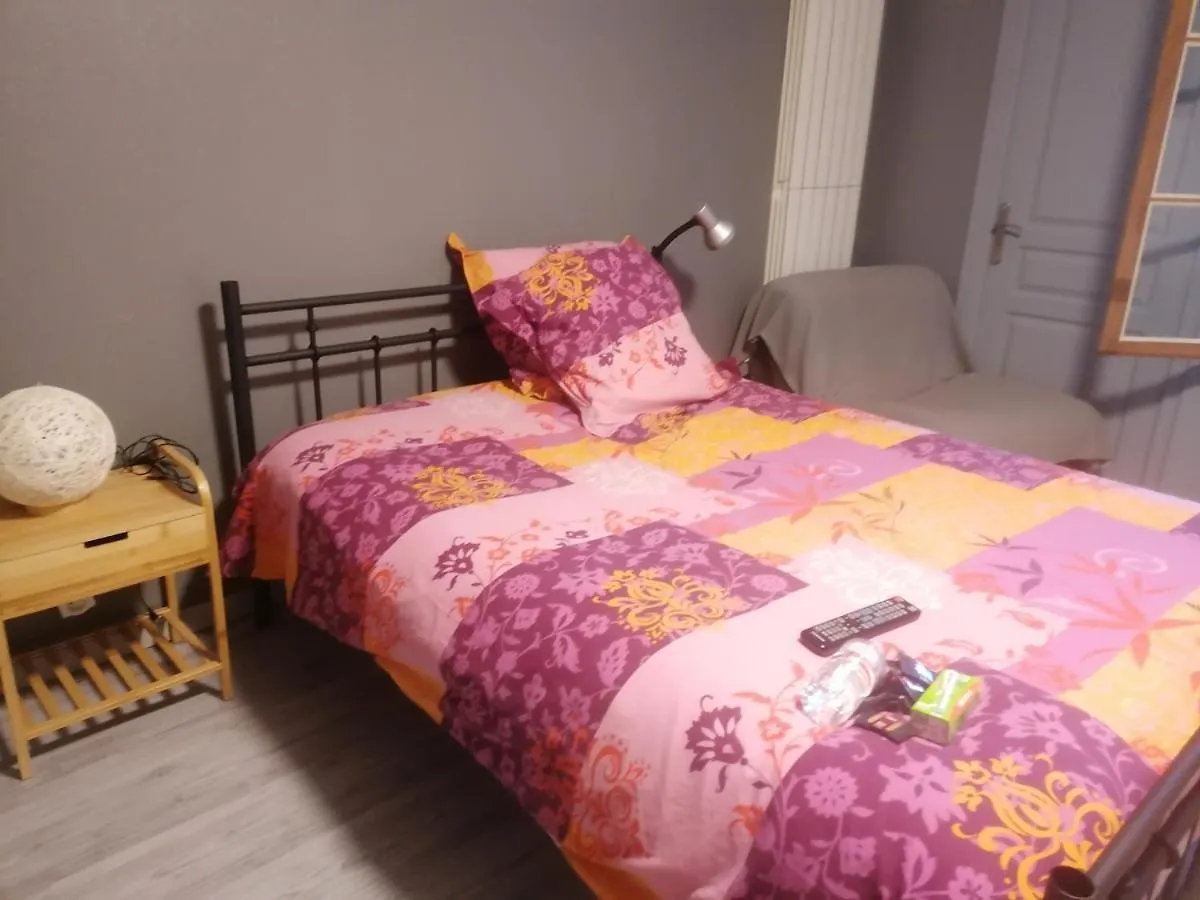 Homestay Chambre 23M2 Avec Jardin Wi-Fi Gratuit Saint-Girons Apartment